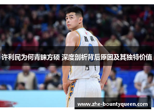 许利民为何青睐方硕 深度剖析背后原因及其独特价值 许利民为何青睐方硕 深度剖析背后原因及其独特价值