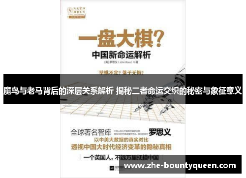 魔鸟与老马背后的深层关系解析 揭秘二者命运交织的秘密与象征意义