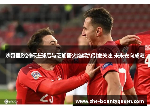 沙奇里欧洲杯进球后与芝加哥火焰解约引发关注 未来去向成谜